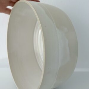 Dish n.1