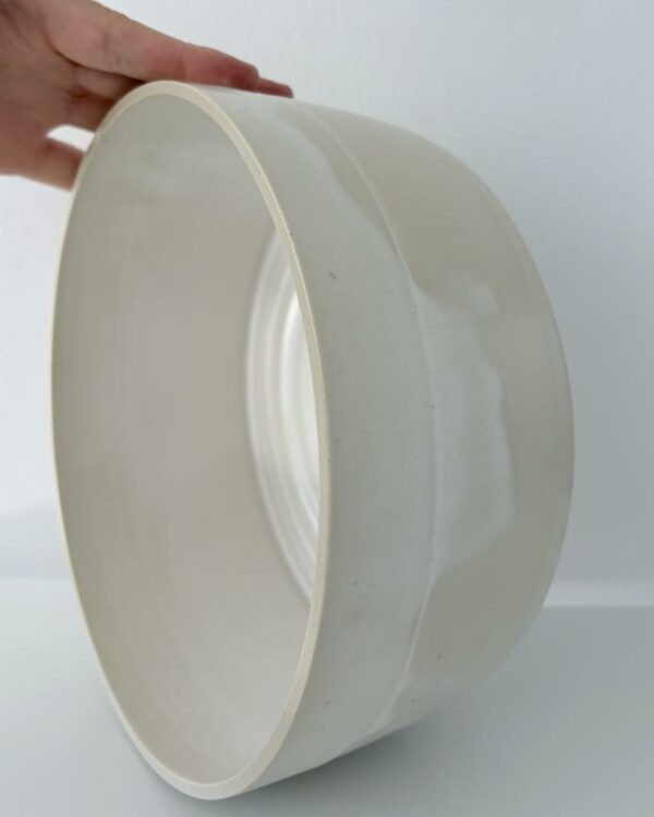 Dish n.1