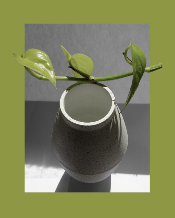 Le Grand n.16 - Image 3
