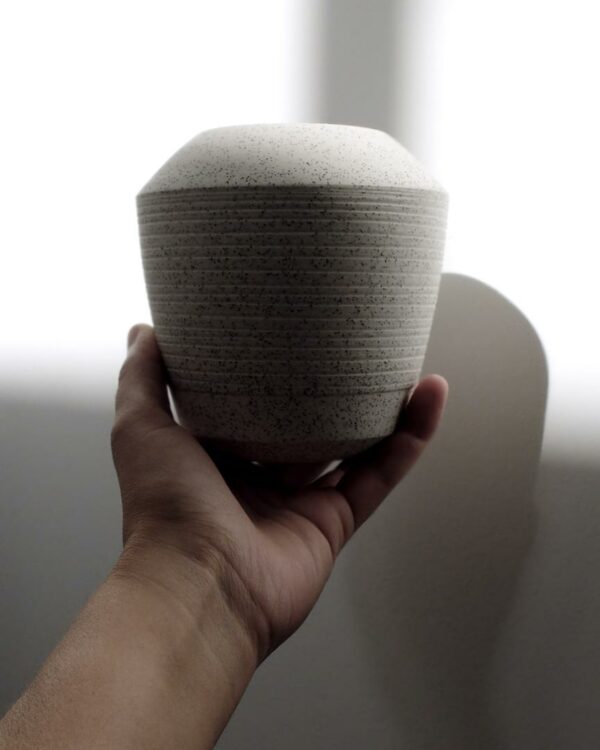Le Petit n.12 - Image 4